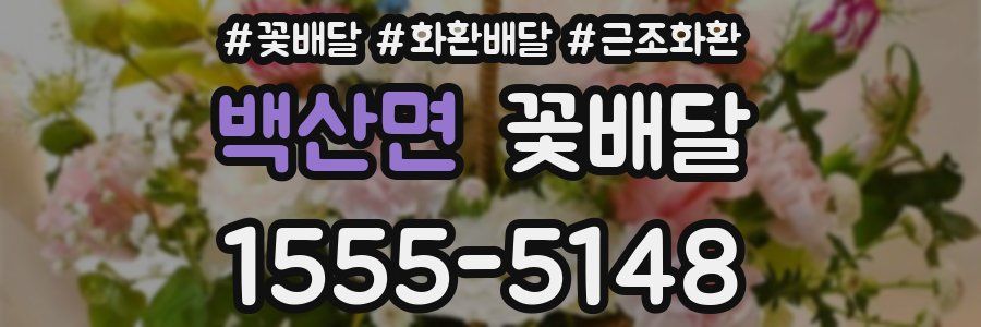 백산면 꽃배달