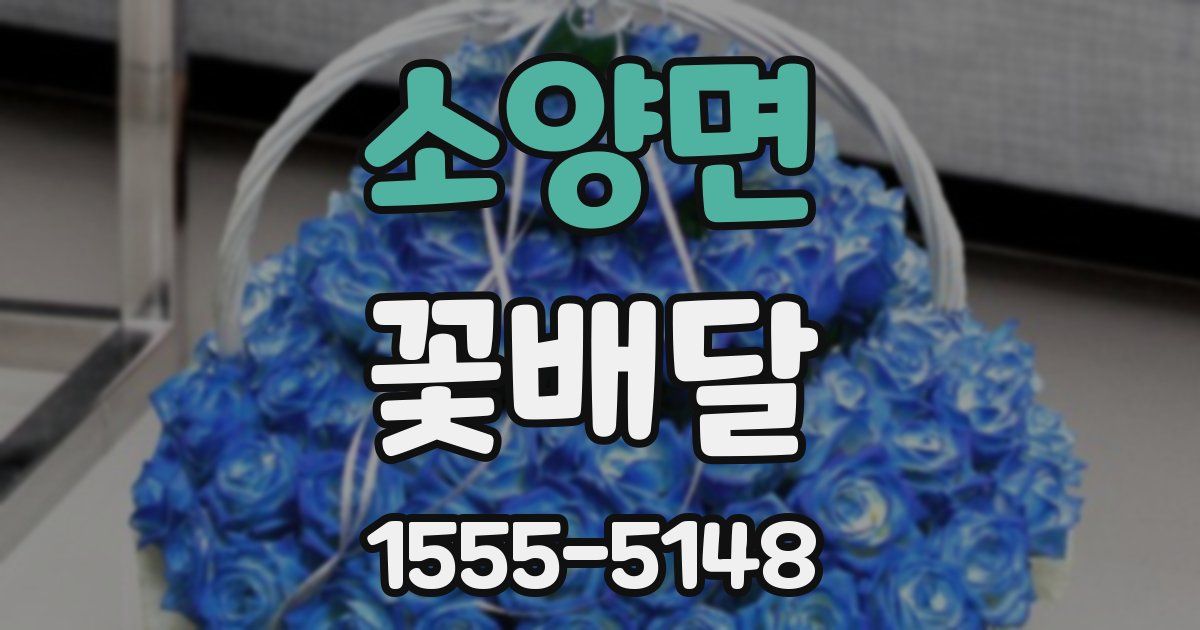 소양면 꽃배달