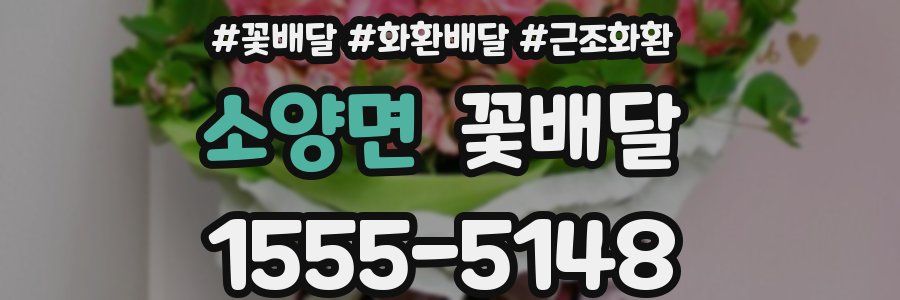 소양면 꽃배달