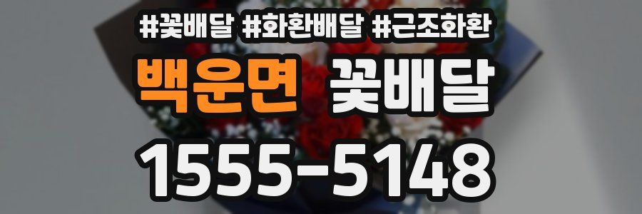 백운면 꽃배달