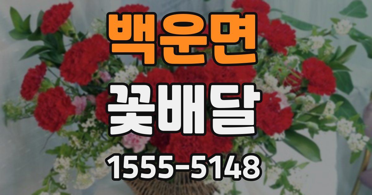 백운면 꽃배달