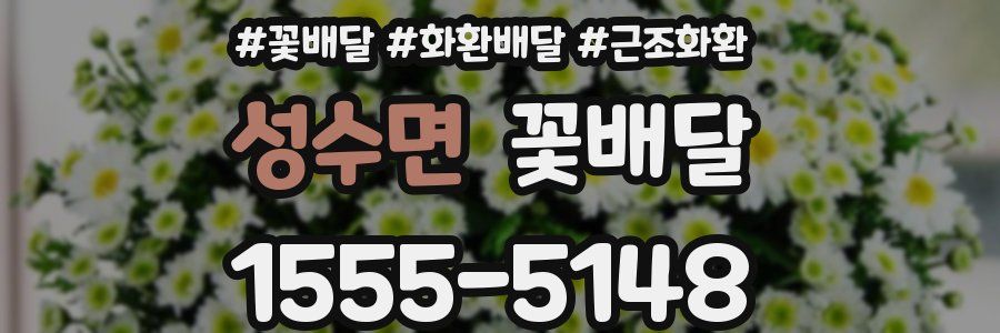 성수면 꽃배달