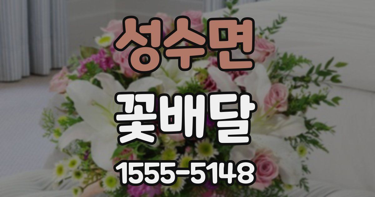 성수면 꽃배달