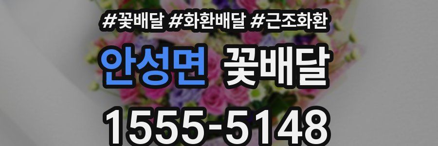 안성면 꽃배달
