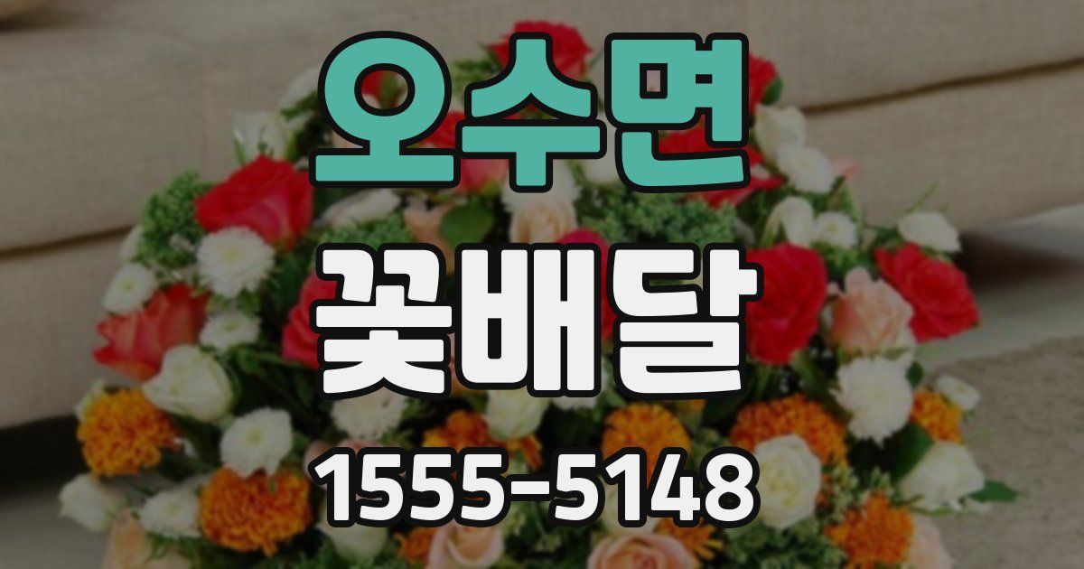 오수면 꽃배달