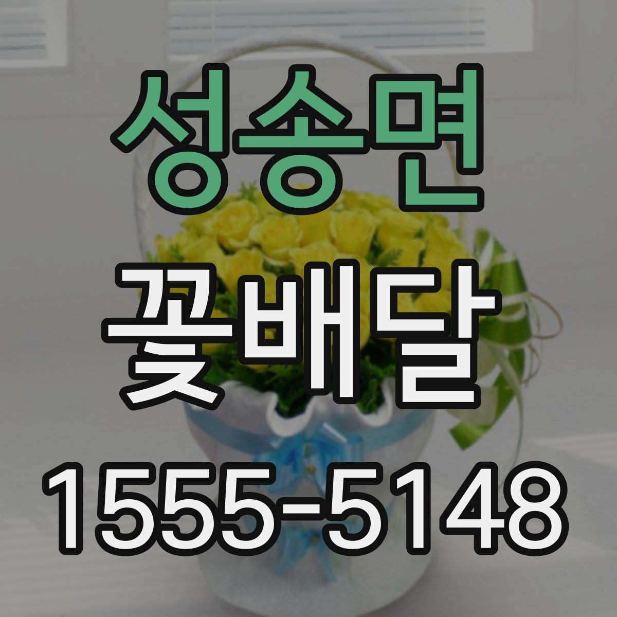성송면 꽃배달 가격 차이가 생기는 이유와 선택 요령