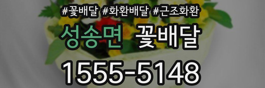 성송면 꽃배달