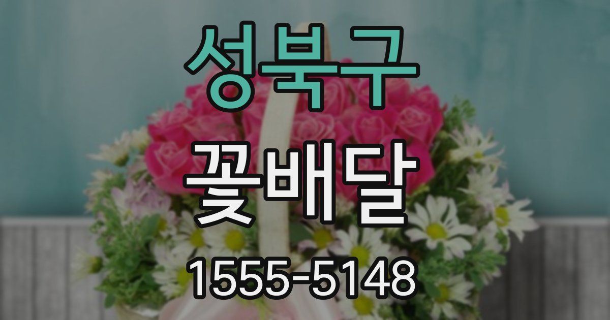 성북구 꽃배달