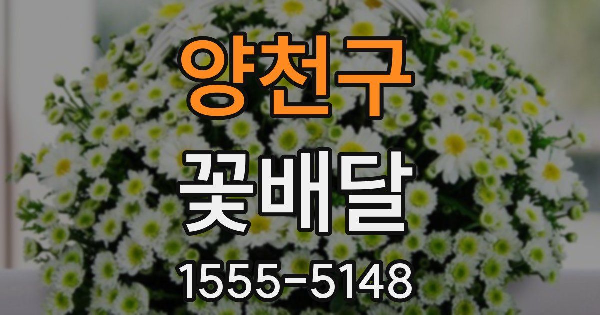 양천구 꽃배달