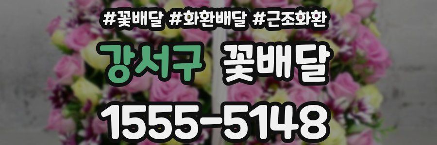 강서구 꽃배달