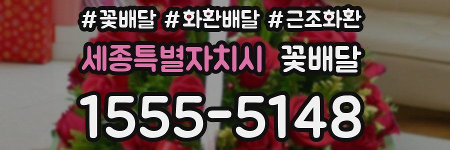 세종특별자치시 꽃배달