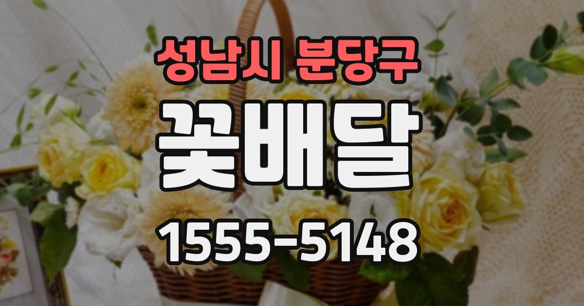 성남시 분당구 꽃배달