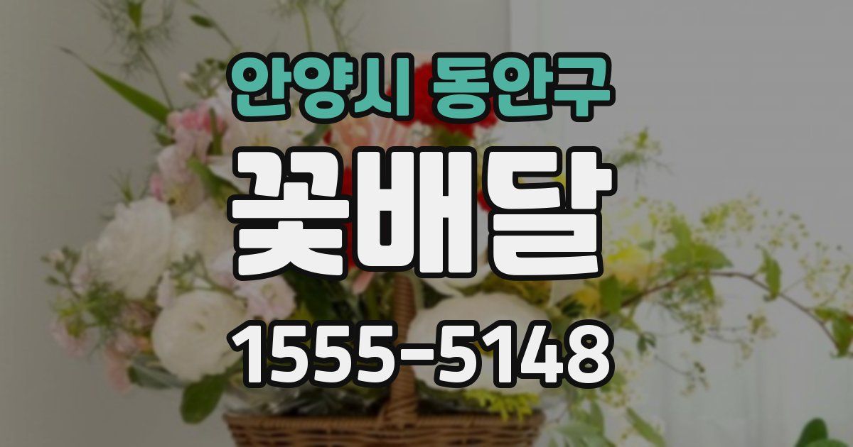 안양시 동안구 꽃배달