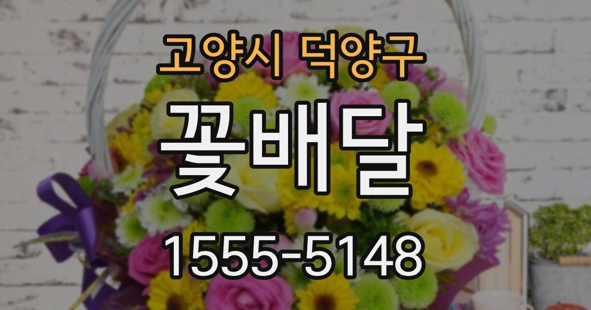 고양시 덕양구 꽃배달