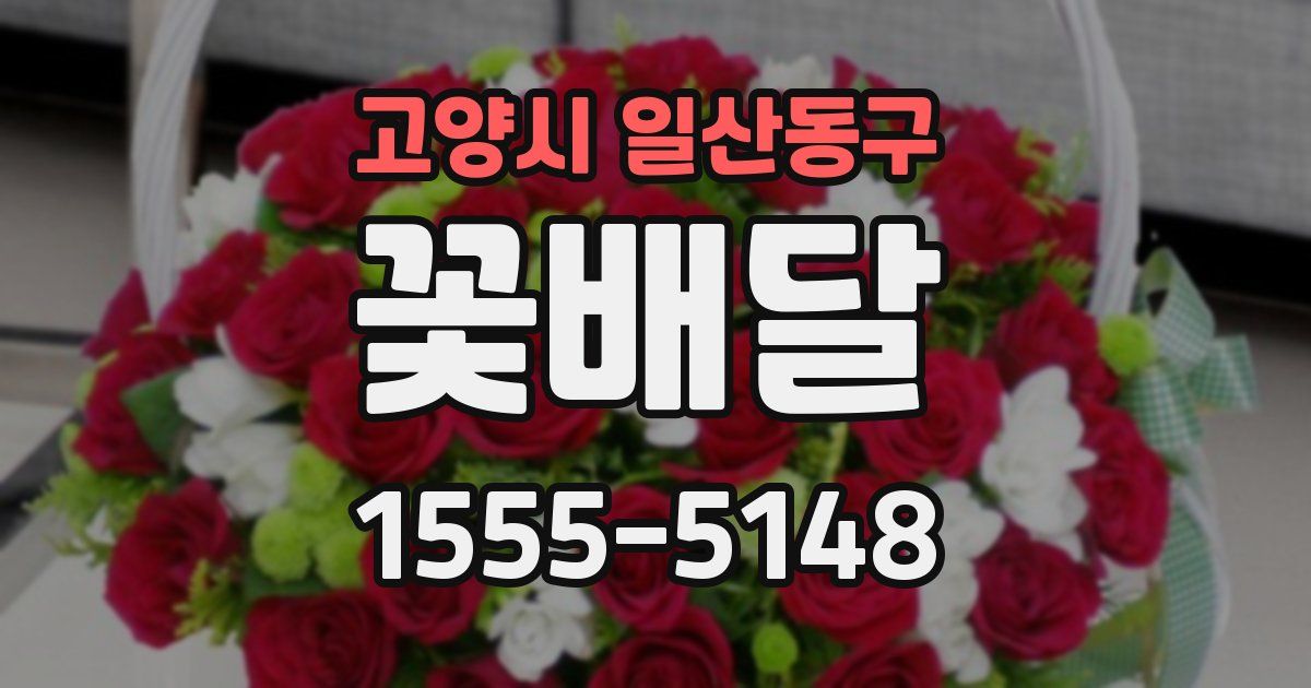 고양시 일산동구 꽃배달