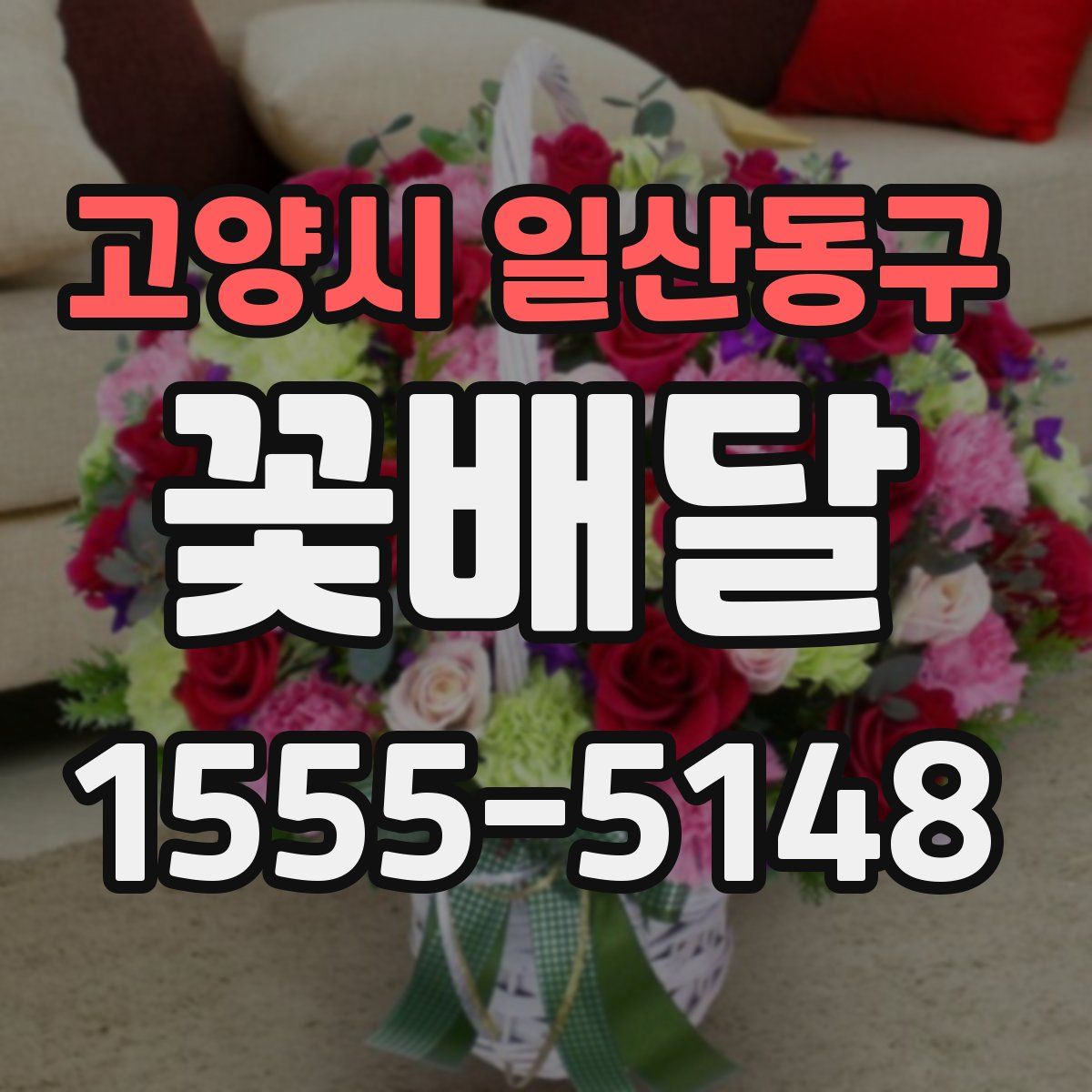 고양시 일산동구 꽃배달