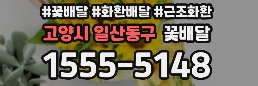 고양시 일산동구 꽃배달