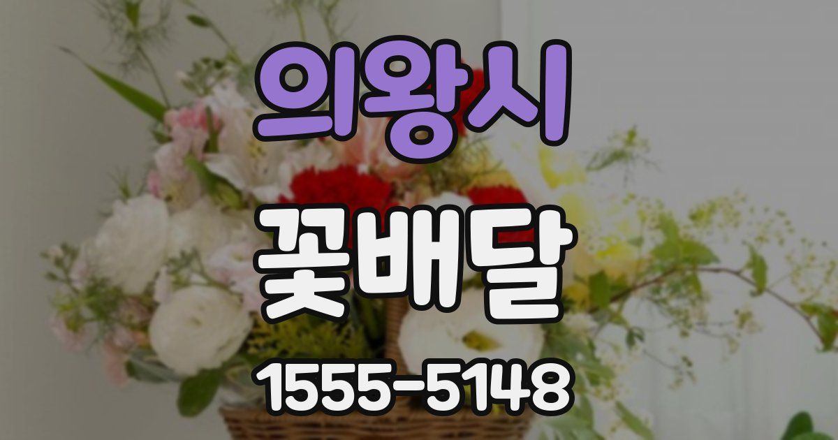 의왕시 꽃배달