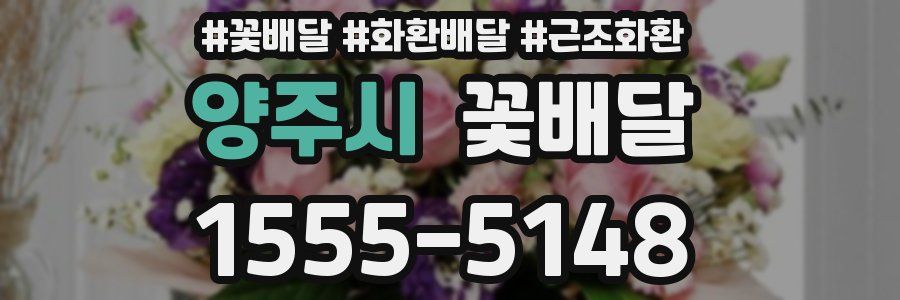 양주시 꽃배달