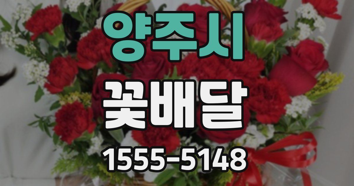 양주시 꽃배달