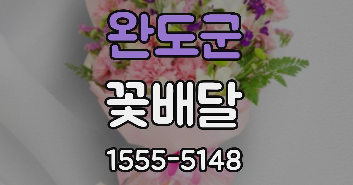 완도군 꽃배달