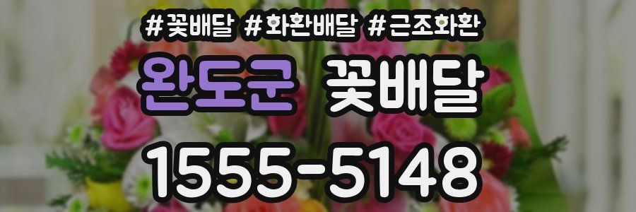 완도군 꽃배달