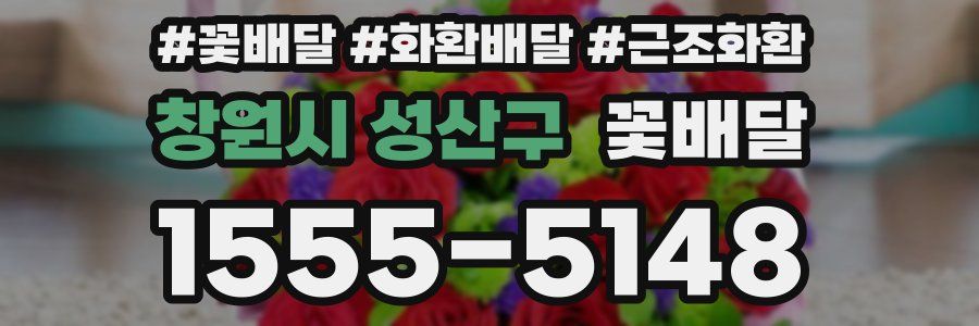 창원시 성산구 꽃배달