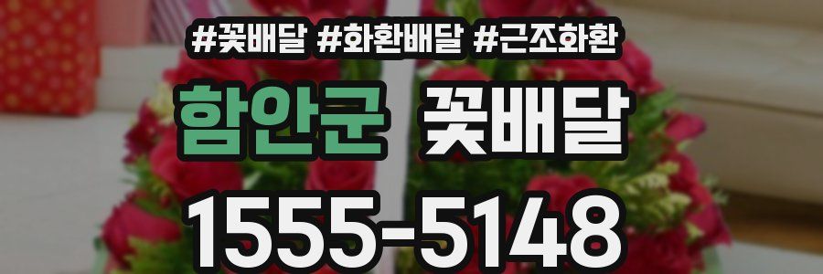 함안군 꽃배달