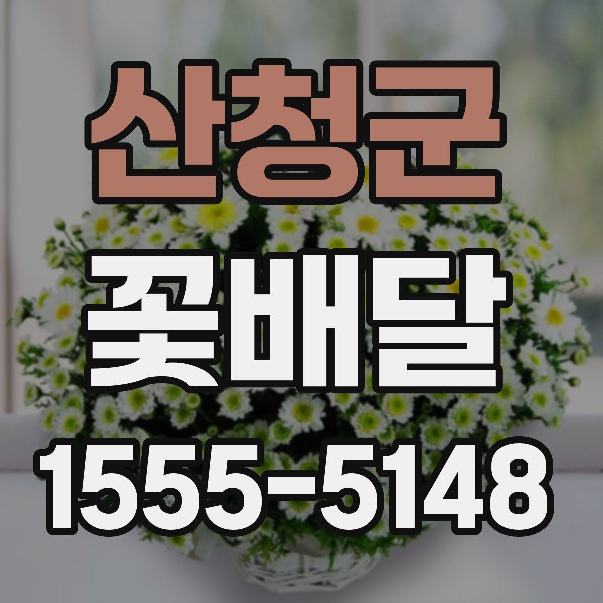 산청군 꽃배달