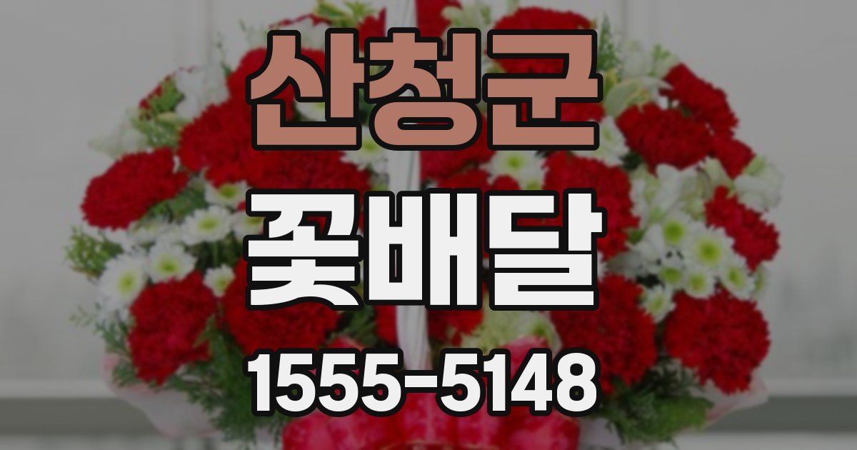 산청군 꽃배달