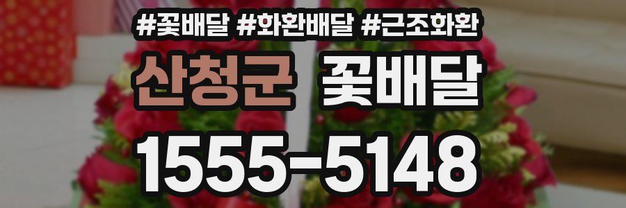 산청군 꽃배달
