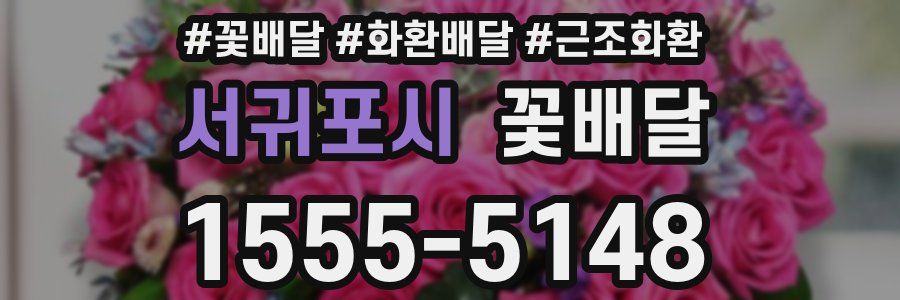 서귀포시 꽃배달