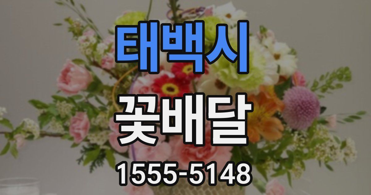 태백시 꽃배달