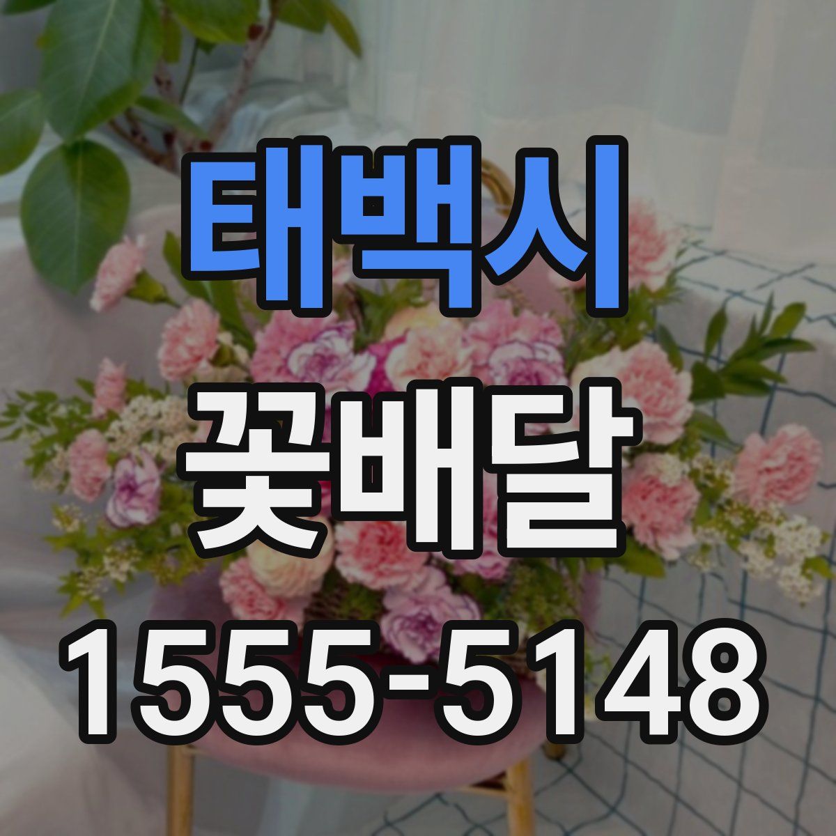 태백시 꽃배달