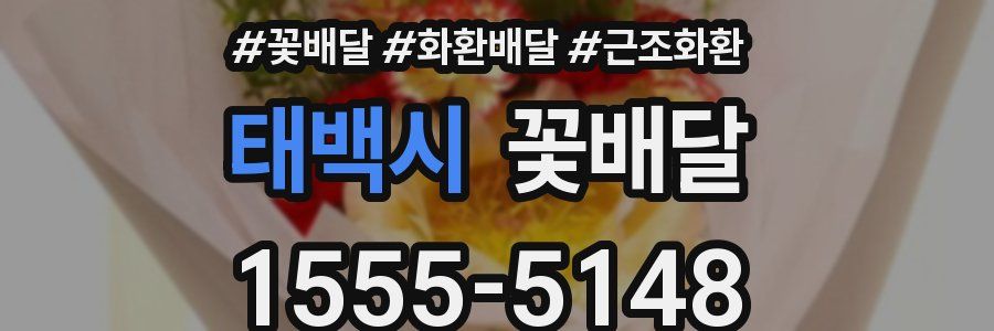 태백시 꽃배달