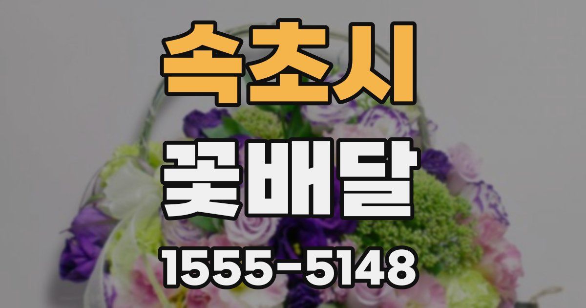 속초시 꽃배달