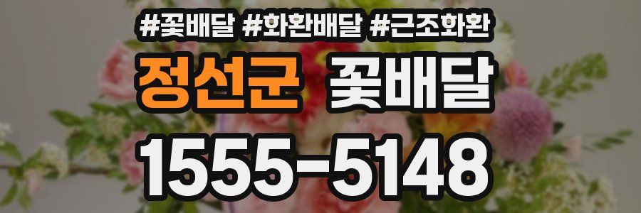 정선군 꽃배달