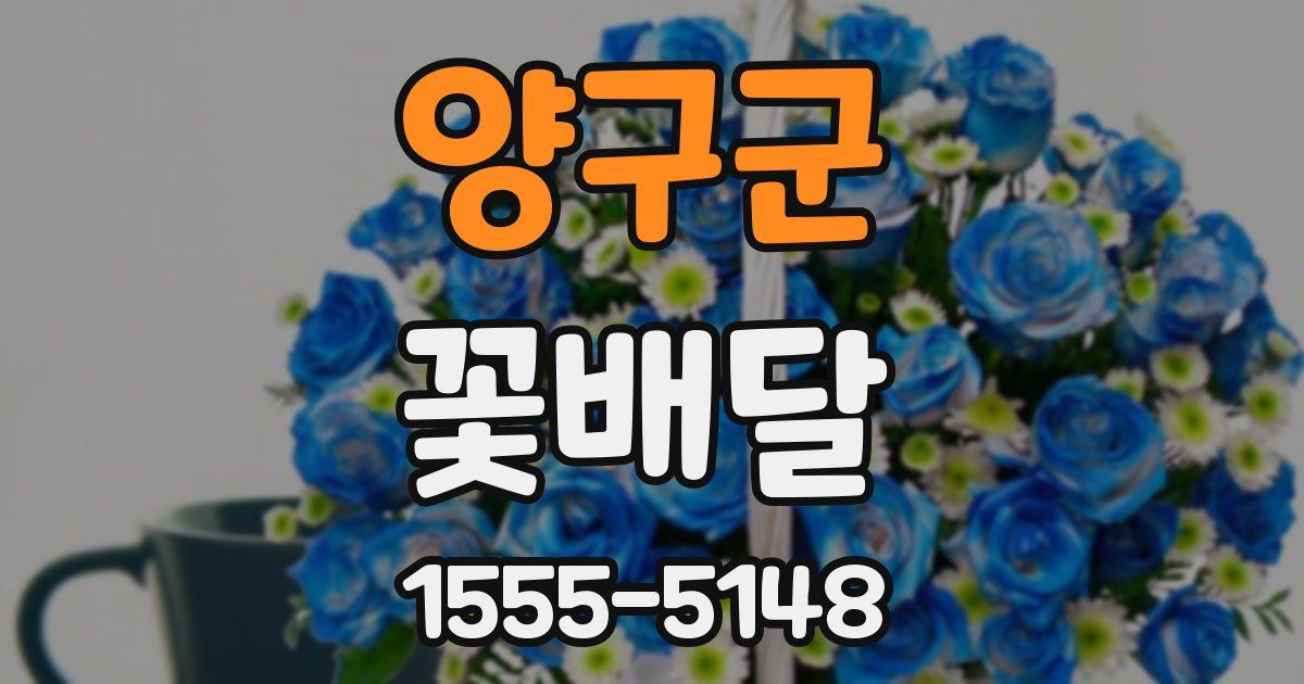 양구군 꽃배달