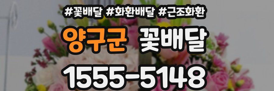 양구군 꽃배달