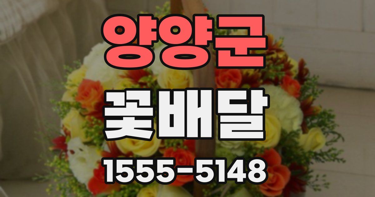 양양군 꽃배달