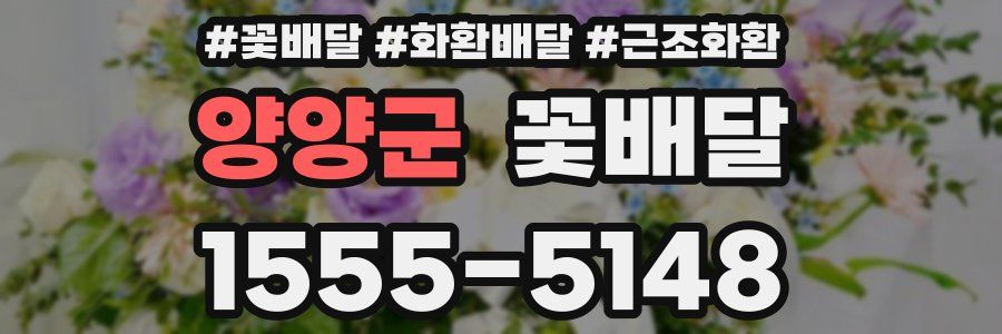 양양군 꽃배달