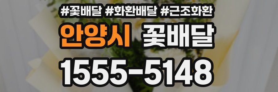 안양시 꽃배달