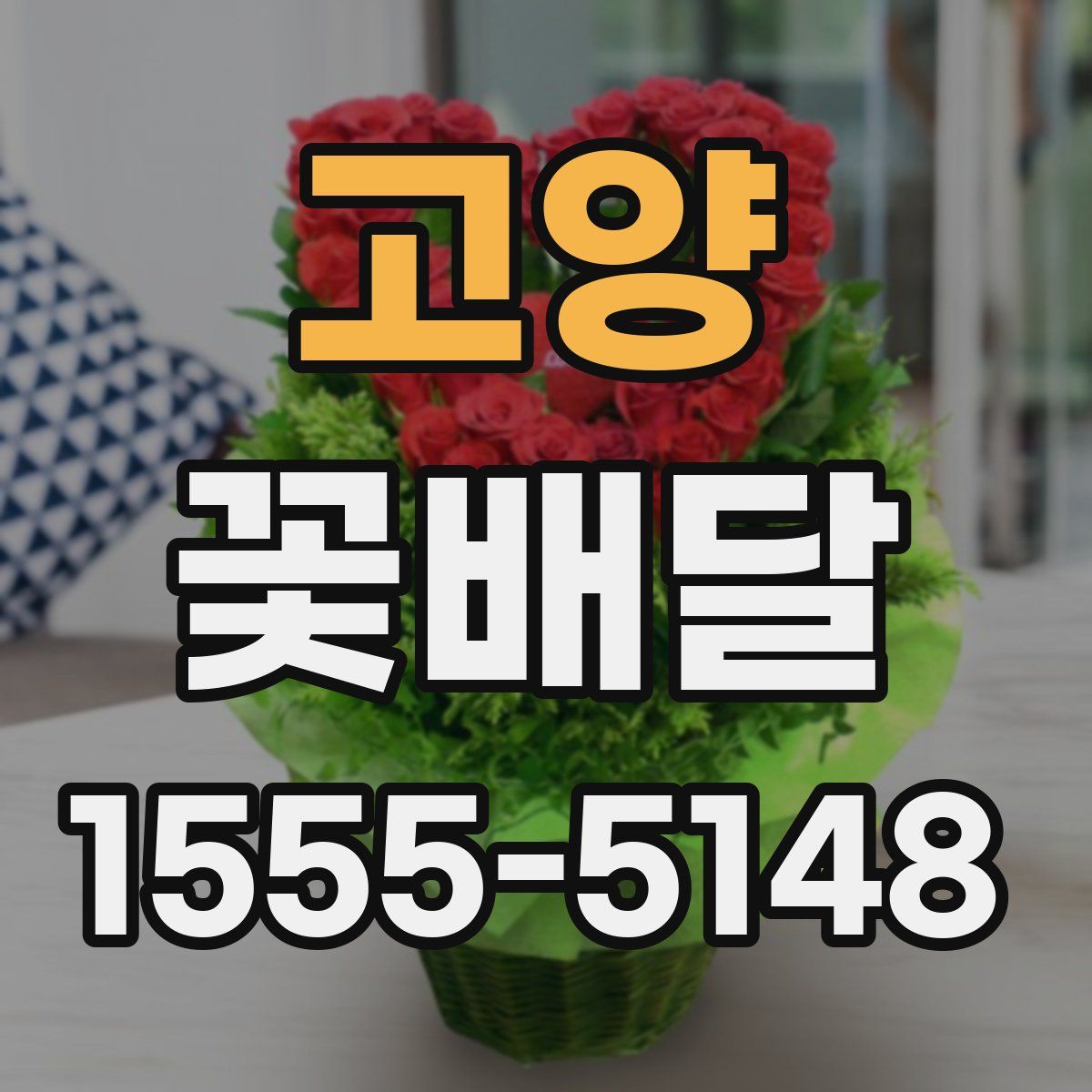 고양 꽃배달