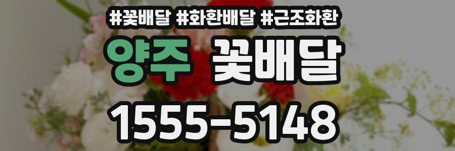 양주 꽃배달