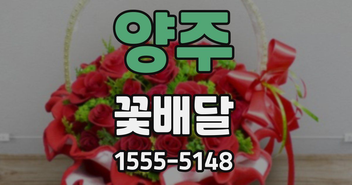 양주 꽃배달
