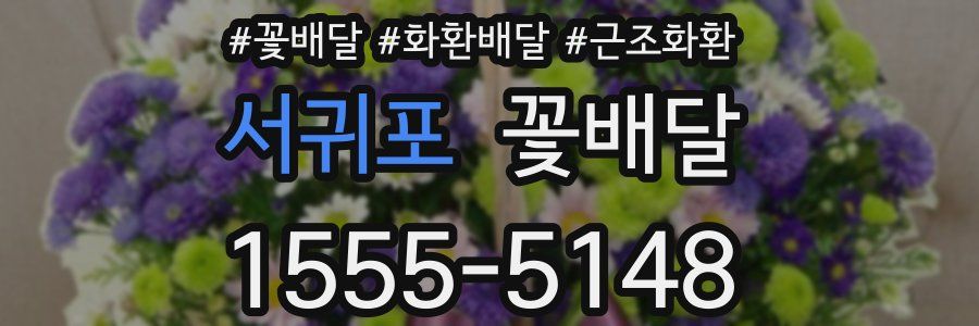 서귀포 꽃배달