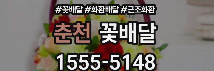 춘천 꽃배달