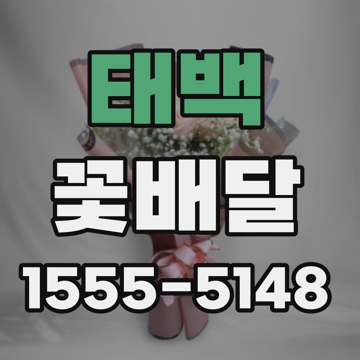 태백 꽃배달