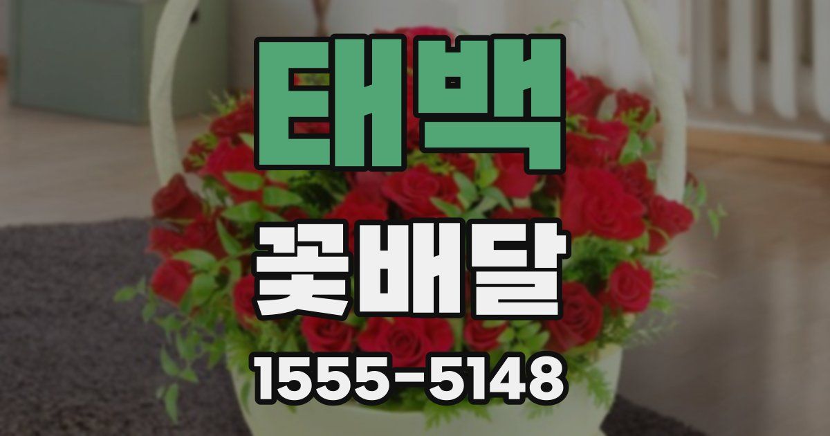 태백 꽃배달