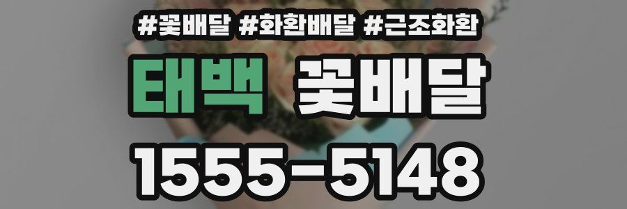 태백 꽃배달